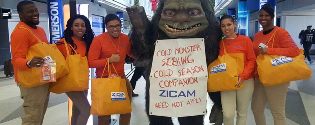 Zicam_Smp_3